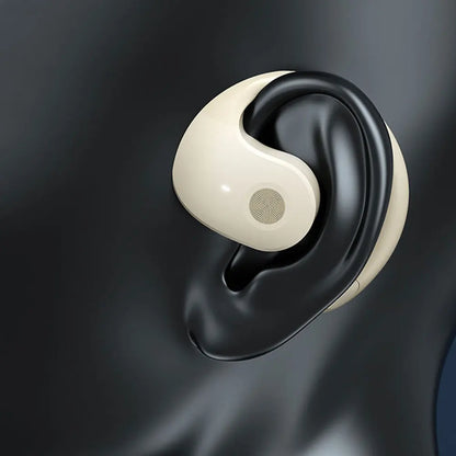 Global Talk Translator Earbuds