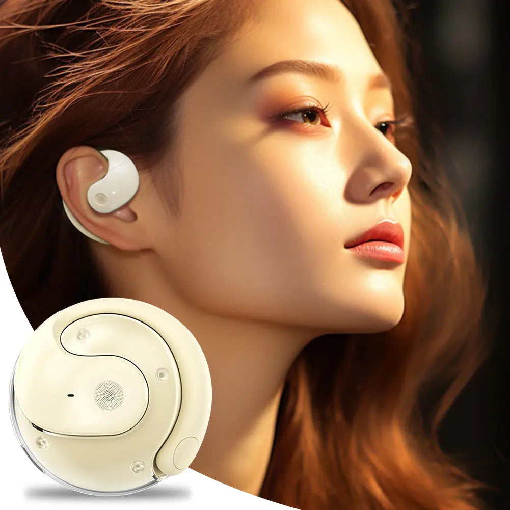 Global Talk Translator Earbuds