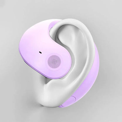 Global Talk Translator Earbuds